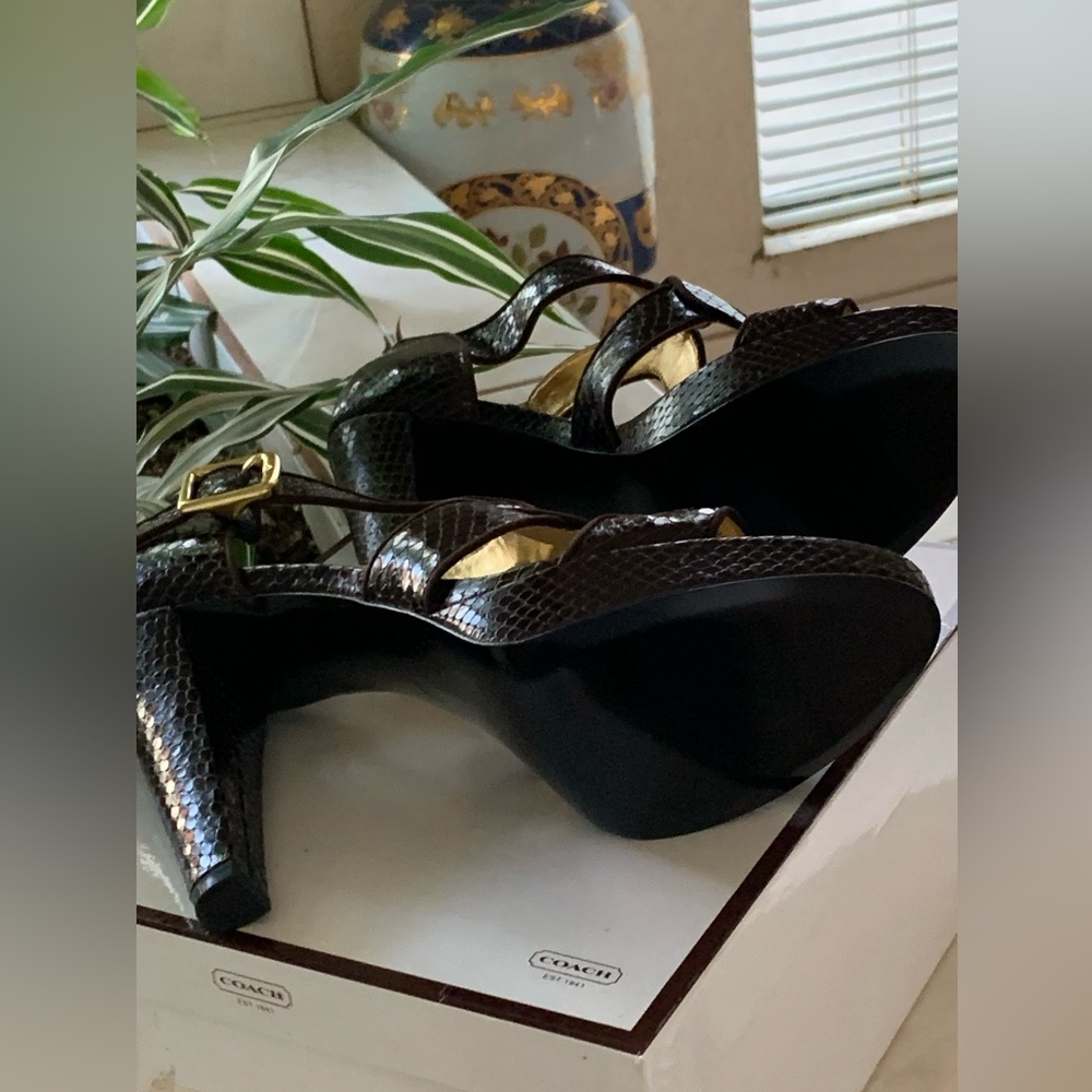 COACH IVANAH PYTHON/NUBUCK CHESTNUT BROWN SIZE 8M NEW IN BOX - Picture 14 of 16